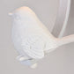 Frendorf | Avioria Wandlampe mit Glasschirm & Deko-Vogel | Modernes Design | Stimmungsvolles Licht für Zuhause