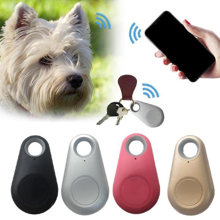 Frendorf | PetTrack Mini  Tracker für Haustiere | Wasserdicht | Lange Akkulaufzeit | Echtzeit-Ortung
