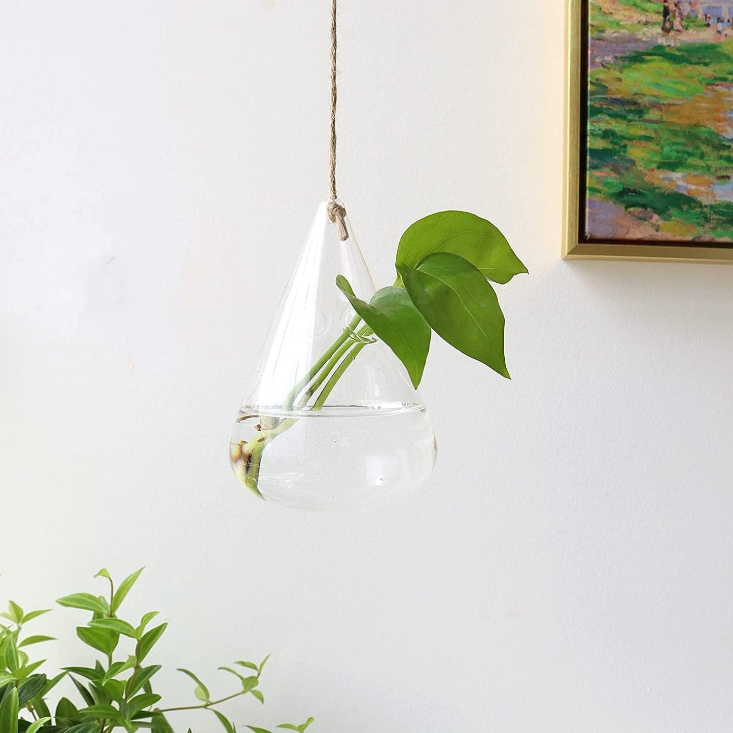 Frendorf | GlasLuxe 3-teiliges Set Glas-Hänge-Terrarienvasen | Elegante Pflanzenhalter | Deko für Zuhause