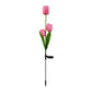 Solar Tulpe Rasenlicht Außen Garten LED Tulpe Blumenlicht Bodenstecker Landschaftslicht