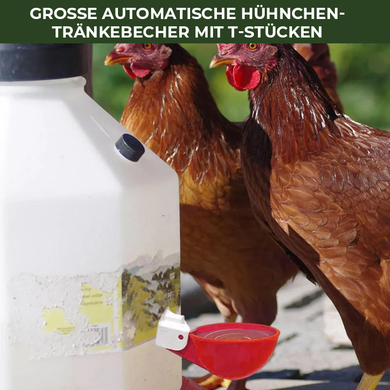 Frendorf | Automatische Hühnertränken (6 Stück)