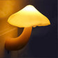 Pilz Wandsteckdosenlicht