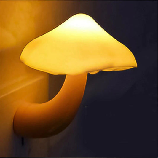 Pilz Wandsteckdosenlicht