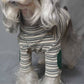 Chic Vintage Streifen Dehnbare Warme Hund Strickpullover