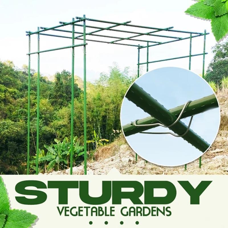 Frendorf | Pflanze verbindende Schnallen