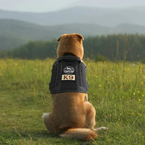 Frendorf | Taktisches Gilet für Hunde – Anti-Zug Geschirr mit Verstellbaren Paneelen