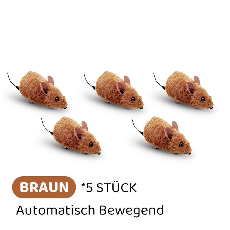 Frendorf |  CatPlay – Jagen, spielen, juchzen – der Spaß für deine Katze!