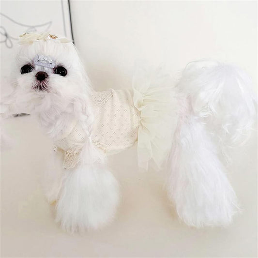 Elegantes weißes Spitzenhundekleid mit Herzakzent - Perfekt für besondere Anlässe