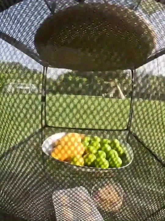 Frendorf | 3-schicht Camping Lagerregal – Langlebig, kompakt und praktisch für Camping und Outdoor-Aktivitäten