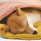 blattförmige hundedecke