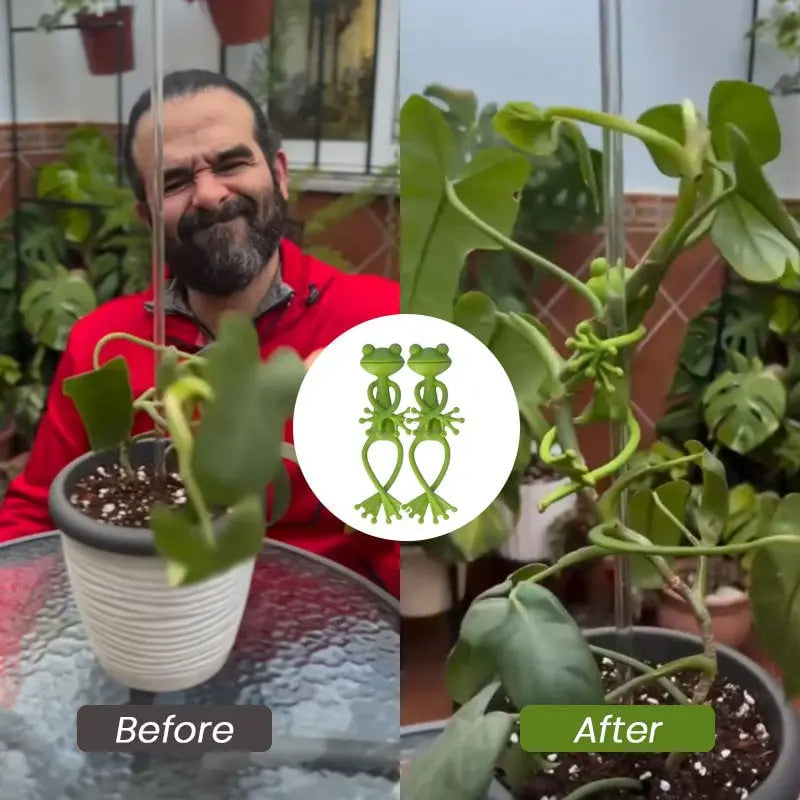 Frendorf | 2er-Set Pflanzenhalter in Froschform – für kleine Töpfe & Sukkulenten!