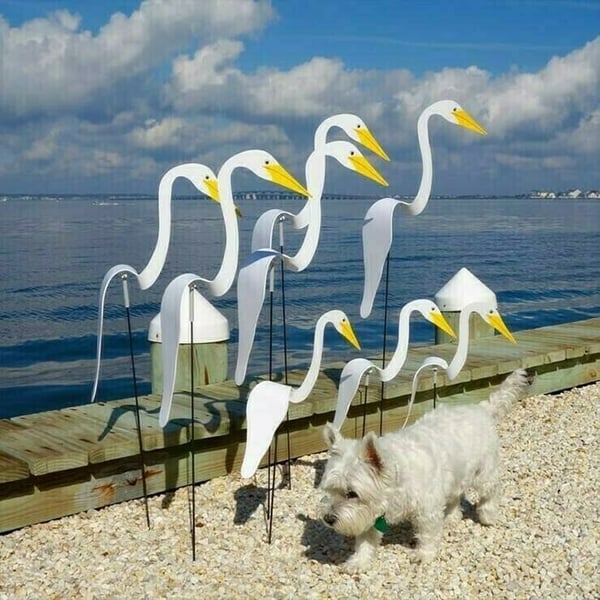 Frendorf | Wirbelnder Flamingo im Garten