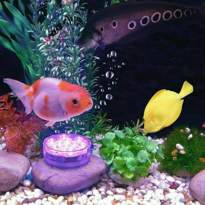 Frendorf |  AquaGlow - Verwandeln Sie Ihren Pool in eine leuchtende Oase