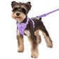 Schick verstellbares PVC-Hundegeschirr und Leine