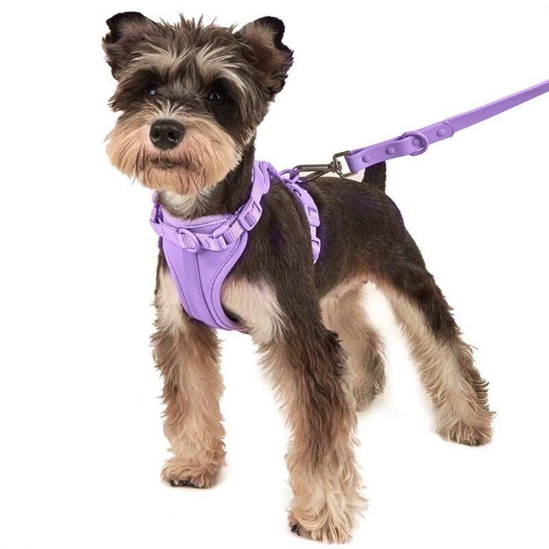 Schick verstellbares PVC-Hundegeschirr und Leine