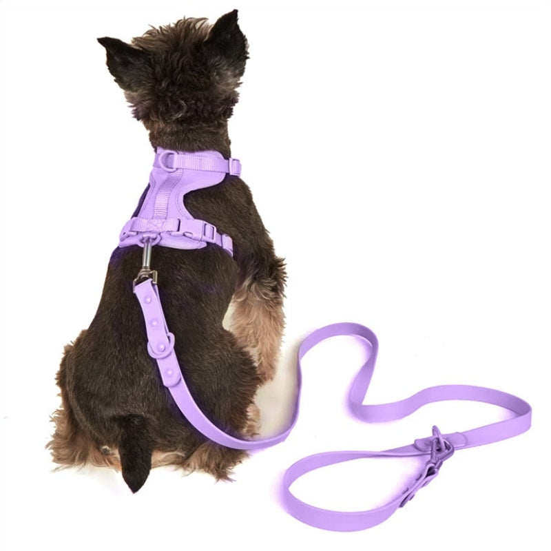 Schick verstellbares PVC-Hundegeschirr und Leine