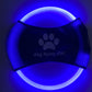 Frendorf | Hundesport Frisbee.