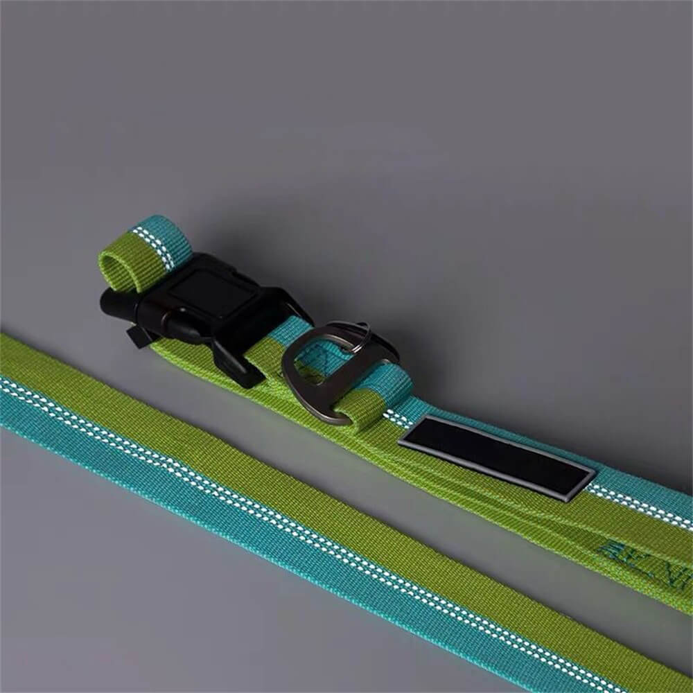 Bunte Hundeleine Halsband - Hochfester Nylon