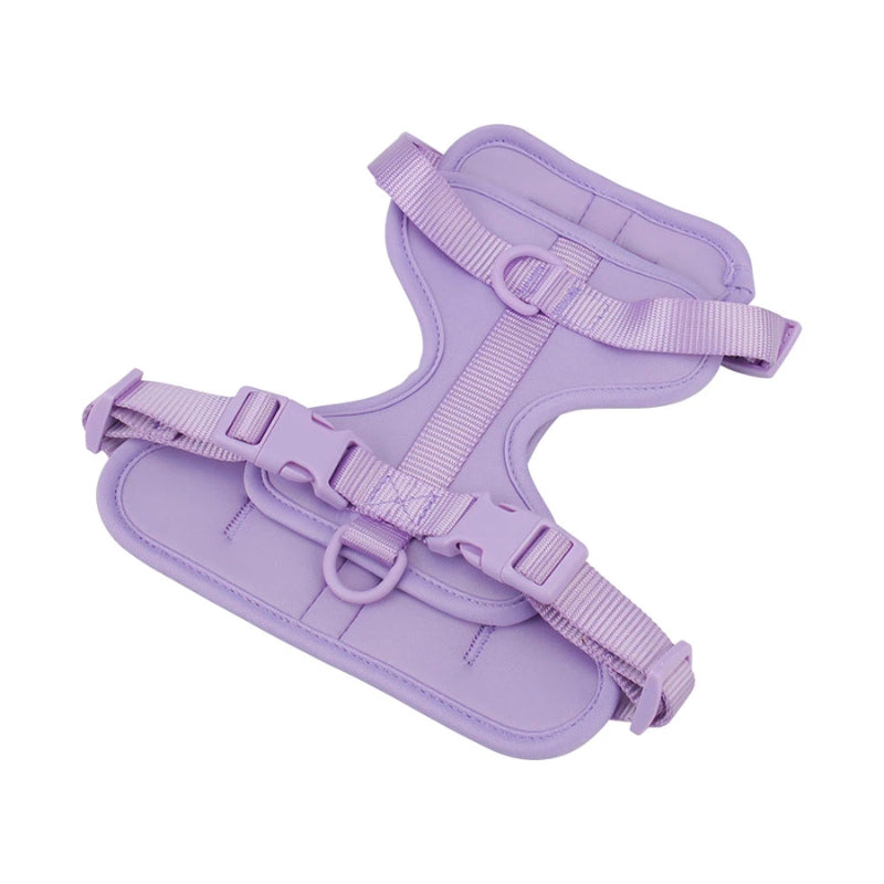 Schick verstellbares PVC-Hundegeschirr und Leine