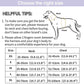 Schick verstellbares PVC-Hundegeschirr und Leine