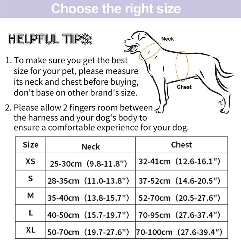 Schick verstellbares PVC-Hundegeschirr und Leine