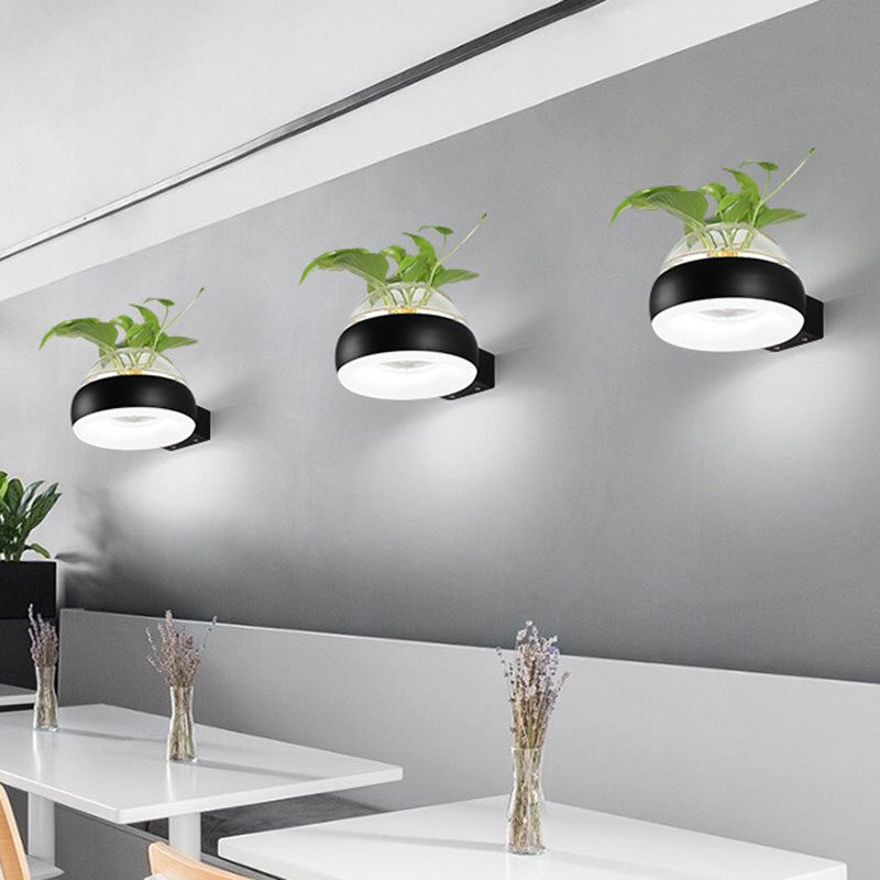 Frendorf | Klarer Glasdome Wandbeleuchtung Industrie 1 Glühbirne Schlafzimmer LED Wandleuchte Lampe in Schwarz/Grau/Weiß mit Pflanzenbehälter