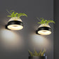Frendorf | Klarer Glasdome Wandbeleuchtung Industrie 1 Glühbirne Schlafzimmer LED Wandleuchte Lampe in Schwarz/Grau/Weiß mit Pflanzenbehälter
