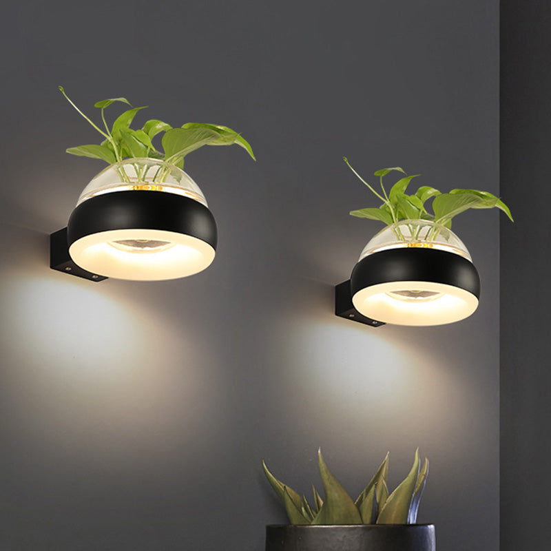 Frendorf | Klarer Glasdome Wandbeleuchtung Industrie 1 Glühbirne Schlafzimmer LED Wandleuchte Lampe in Schwarz/Grau/Weiß mit Pflanzenbehälter