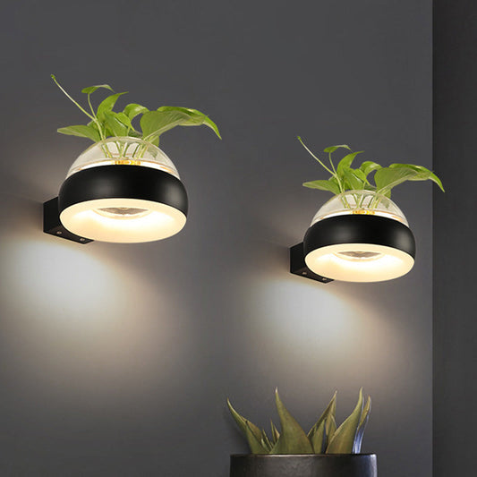 Frendorf | Klarer Glasdome Wandbeleuchtung Industrie 1 Glühbirne Schlafzimmer LED Wandleuchte Lampe in Schwarz/Grau/Weiß mit Pflanzenbehälter