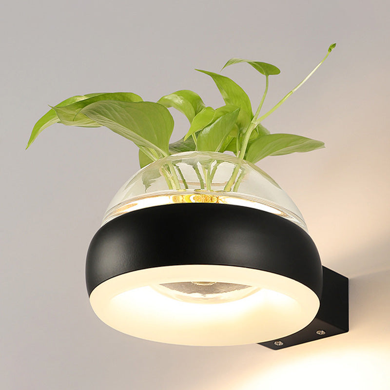 Frendorf | Klarer Glasdome Wandbeleuchtung Industrie 1 Glühbirne Schlafzimmer LED Wandleuchte Lampe in Schwarz/Grau/Weiß mit Pflanzenbehälter
