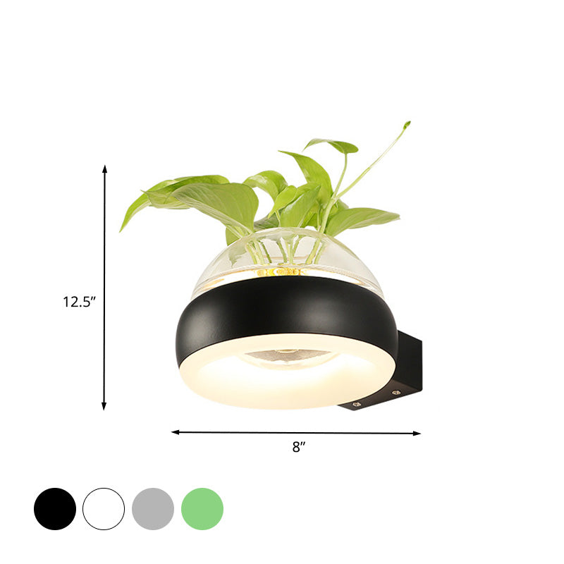 Frendorf | Klarer Glasdome Wandbeleuchtung Industrie 1 Glühbirne Schlafzimmer LED Wandleuchte Lampe in Schwarz/Grau/Weiß mit Pflanzenbehälter