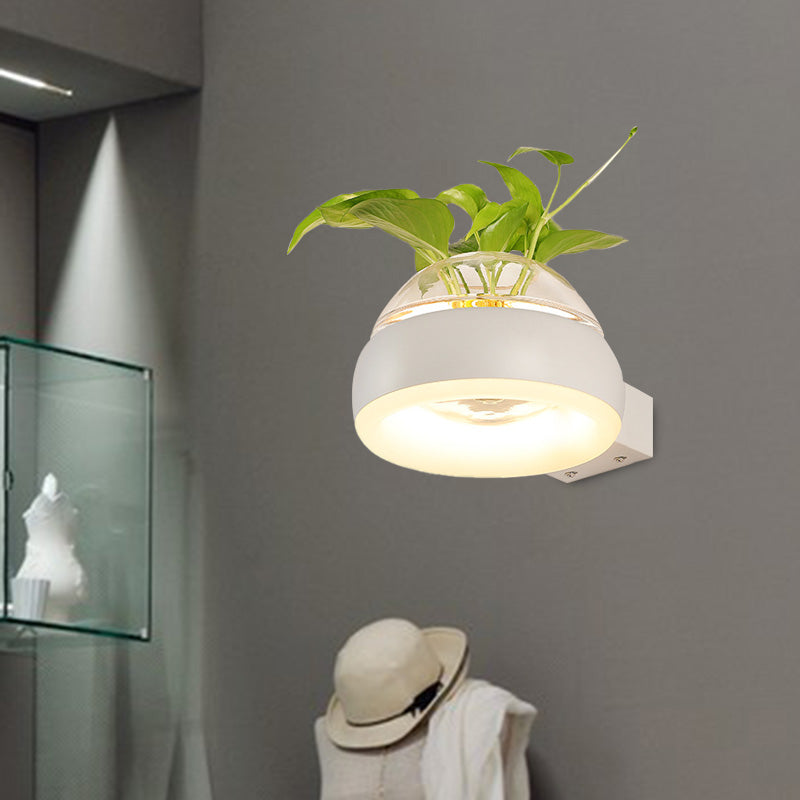 Frendorf | Klarer Glasdome Wandbeleuchtung Industrie 1 Glühbirne Schlafzimmer LED Wandleuchte Lampe in Schwarz/Grau/Weiß mit Pflanzenbehälter