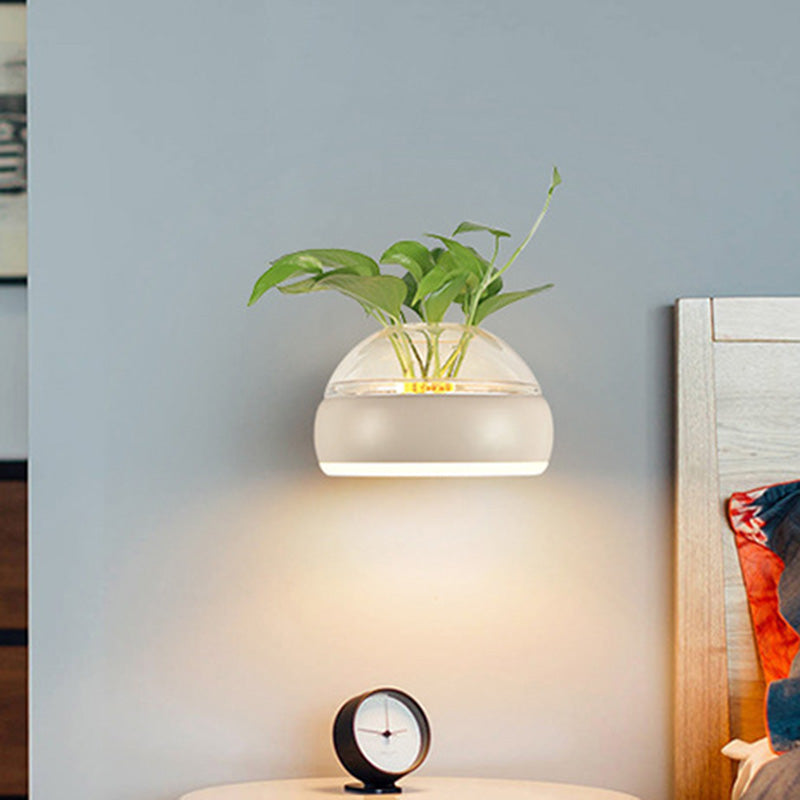 Frendorf | Klarer Glasdome Wandbeleuchtung Industrie 1 Glühbirne Schlafzimmer LED Wandleuchte Lampe in Schwarz/Grau/Weiß mit Pflanzenbehälter