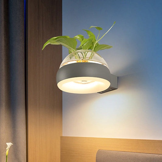 Frendorf | Klarer Glasdome Wandbeleuchtung Industrie 1 Glühbirne Schlafzimmer LED Wandleuchte Lampe in Schwarz/Grau/Weiß mit Pflanzenbehälter