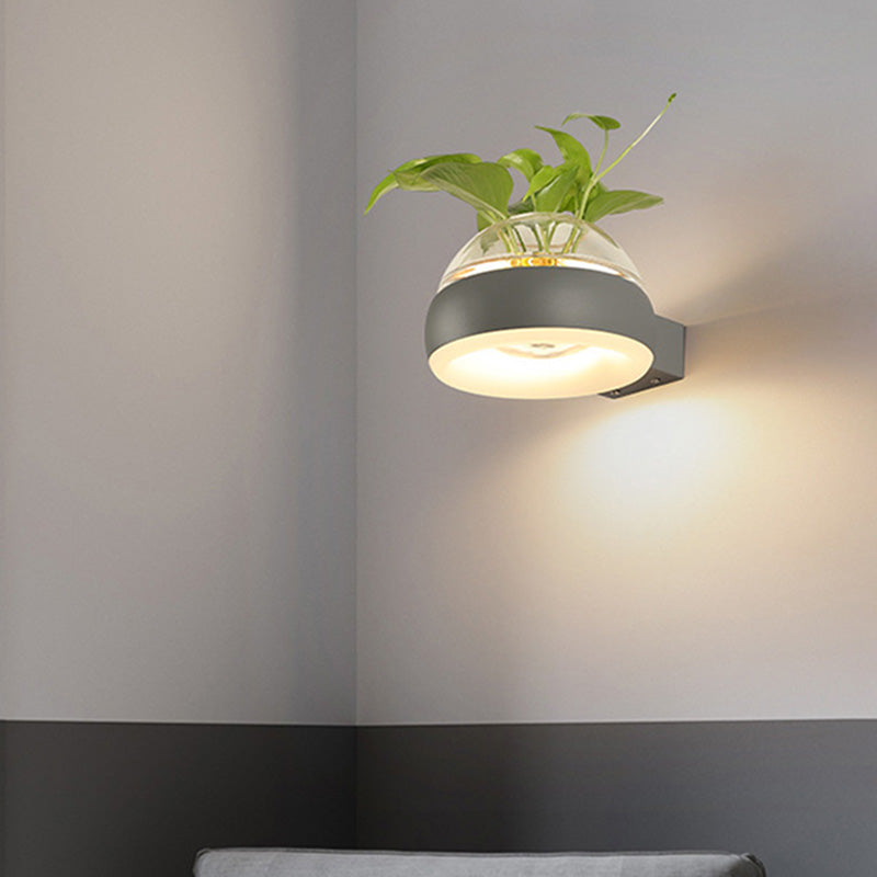 Frendorf | Klarer Glasdome Wandbeleuchtung Industrie 1 Glühbirne Schlafzimmer LED Wandleuchte Lampe in Schwarz/Grau/Weiß mit Pflanzenbehälter
