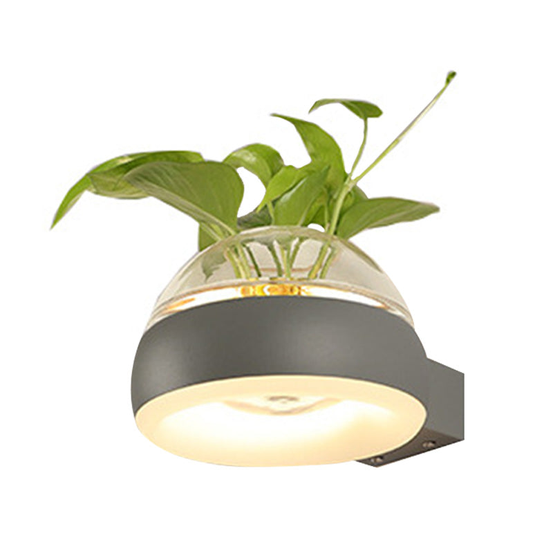 Frendorf | Klarer Glasdome Wandbeleuchtung Industrie 1 Glühbirne Schlafzimmer LED Wandleuchte Lampe in Schwarz/Grau/Weiß mit Pflanzenbehälter