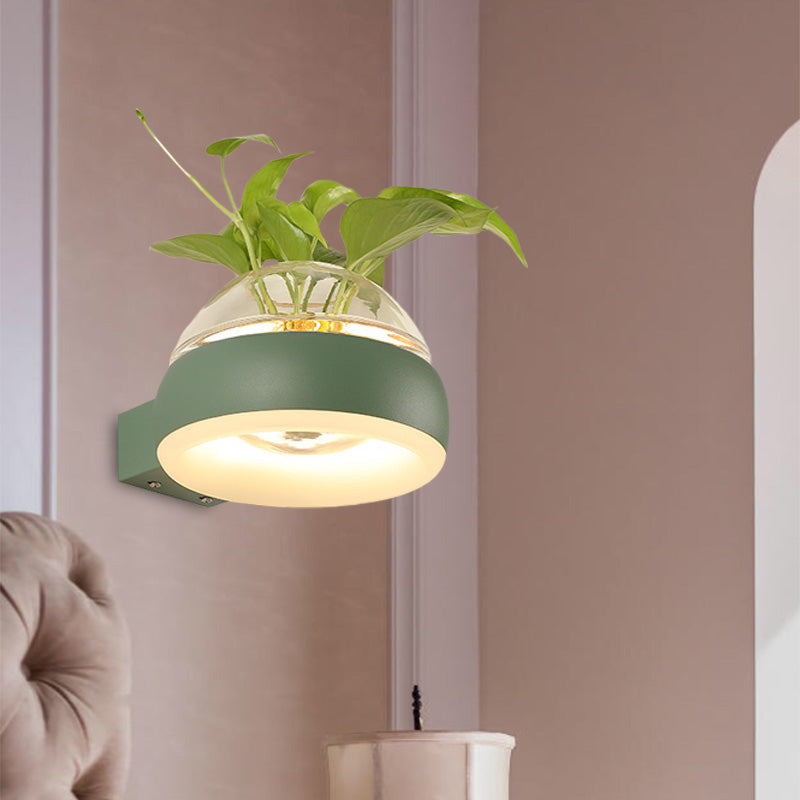 Frendorf | Klarer Glasdome Wandbeleuchtung Industrie 1 Glühbirne Schlafzimmer LED Wandleuchte Lampe in Schwarz/Grau/Weiß mit Pflanzenbehälter