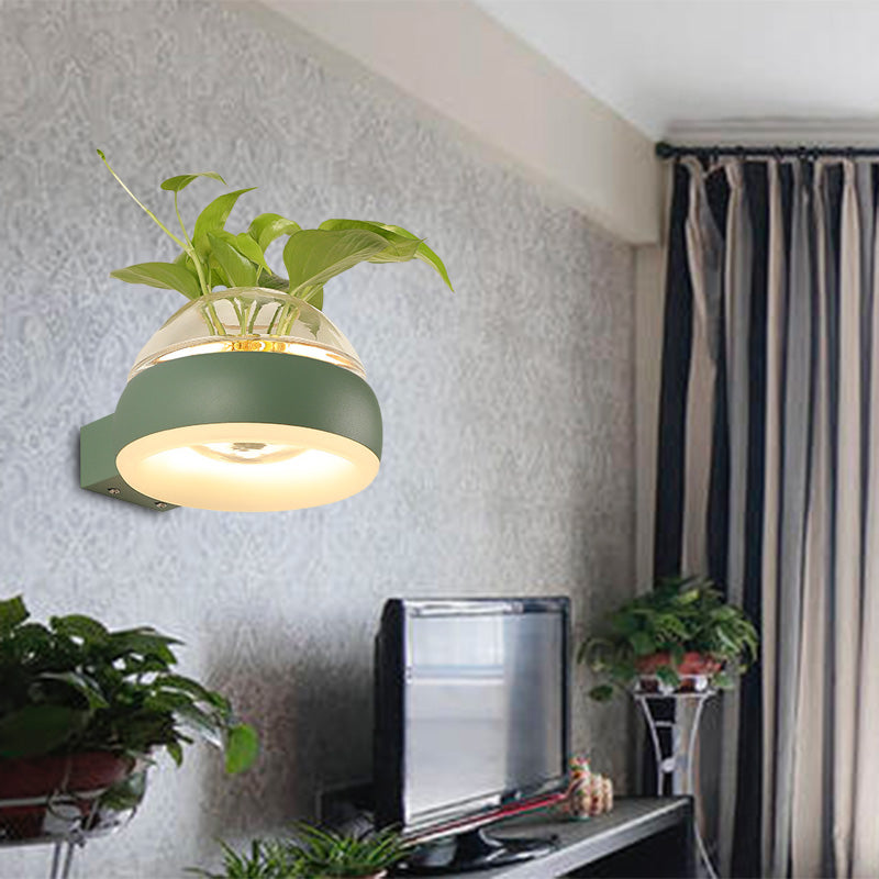 Frendorf | Klarer Glasdome Wandbeleuchtung Industrie 1 Glühbirne Schlafzimmer LED Wandleuchte Lampe in Schwarz/Grau/Weiß mit Pflanzenbehälter