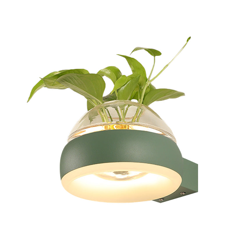 Frendorf | Klarer Glasdome Wandbeleuchtung Industrie 1 Glühbirne Schlafzimmer LED Wandleuchte Lampe in Schwarz/Grau/Weiß mit Pflanzenbehälter