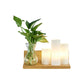 Frendorf | Opal Glas Cilinder Wandverlichting Industrieel 1 Lamp Slaapkamer LED Wandlamp in Hout, Links/Rechts