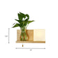 Frendorf | Minimalisme Vierkante Wandlamp Fixture 1 Hoofd Witte Glas LED Wandlamp Verlichting in Hout, Links/Rechts