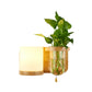 Frendorf | 1 Leuchtmittel Wandmontierte Licht Industriell Zylindrisch Opalglas LED Wandleuchte Sconces aus Holz, Links/Rechts