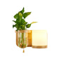Frendorf | 1 Leuchtmittel Wandmontierte Licht Industriell Zylindrisch Opalglas LED Wandleuchte Sconces aus Holz, Links/Rechts