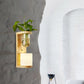 Frendorf | Barrel/Globe Opal Glass Up/Down Light Simple 1 Light Wohnzimmer LED Wandmontagebeleuchtung in Holz