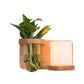 Frendorf | 1 Hoofd Barrel/Globe Wandlamp Industriële Hout Opale Glas LED Wandverlichting voor Woonkamer, Links/Rechts