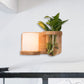 Frendorf | 1 Hoofd Barrel/Globe Wandlamp Industriële Hout Opale Glas LED Wandverlichting voor Woonkamer, Links/Rechts
