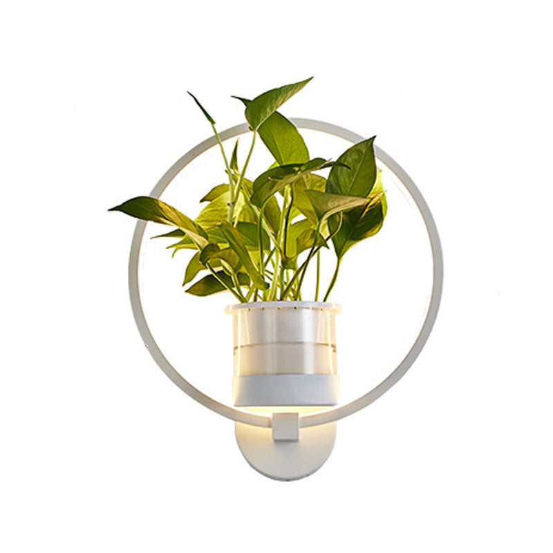 Frendorf | Ronde/Ovale Slaapkamer Wandverlichting Industriële Metaal 1 Lamp Zwart/Wit LED Wandlamp Wandlamp in Warm/Wit/3 Kleur Licht