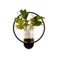 Frendorf | Ronde/Ovale Slaapkamer Wandverlichting Industriële Metaal 1 Lamp Zwart/Wit LED Wandlamp Wandlamp in Warm/Wit/3 Kleur Licht
