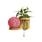 Frendorf | Minimalisme Sphere Wandlamp Sconces 1 Gloeilamp Houten LED Wandgemonteerde Verlichting in Wit/Roze/Geel, Links/Rechts