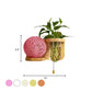 Frendorf | Minimalisme Sphere Wandlamp Sconces 1 Gloeilamp Houten LED Wandgemonteerde Verlichting in Wit/Roze/Geel, Links/Rechts